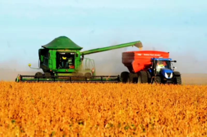 Piauí registra superávit comercial de R$ 72 milhões em janeiro de 2026