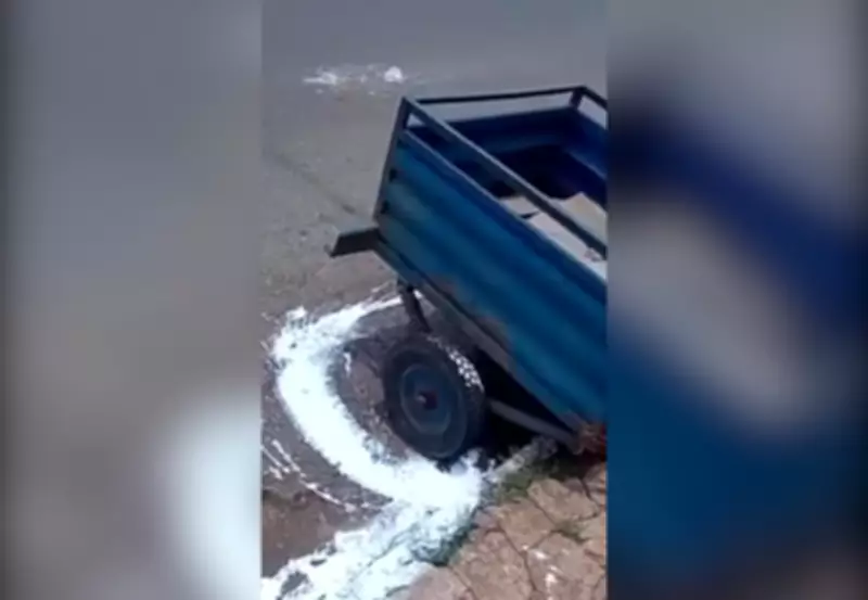 Pintura de meio-fio contorna carretinha em Porto Nacional e viraliza nas redes sociais