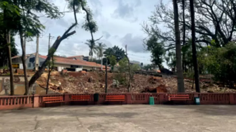 Piracicaba planeja replantio de 42 árvores nativas no Parque do Mirante após temporal