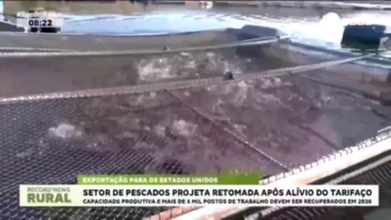 Piscicultura brasileira projeta retomada após suspensão do tarifaço de Trump