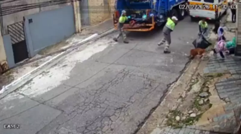 Pitbull foge de residência e ataca coletores de lixo no Jabaquara, Zona Sul de SP