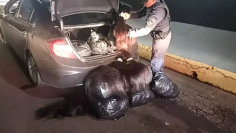 Polícia apreende 230 kg de cabelo humano e produtos eletrônicos sem nota fiscal em SP