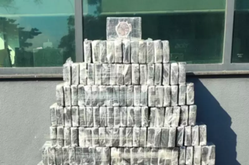 Polícia apreende 300 kg de cocaína avaliados em R$ 100 mil na SP-310 em Araraquara