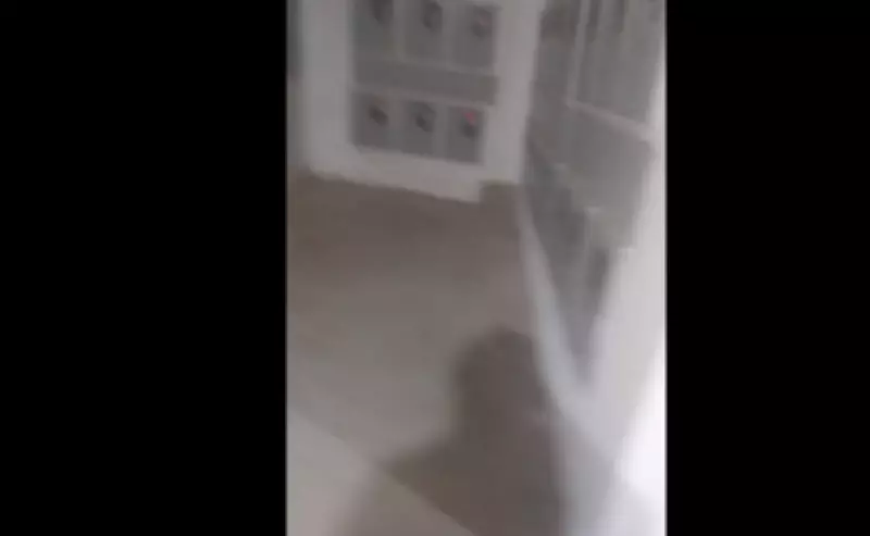 Polícia Civil desvenda emboscada fatal contra corretora em Caldas Novas (GO)