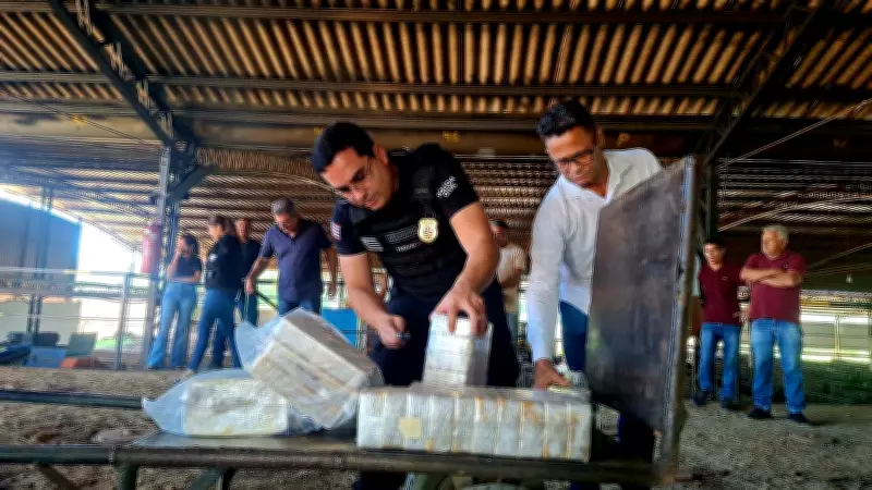 Polícia Civil incinera 250 kg de cocaína apreendidos na BR-230, em Balsas, no Maranhão