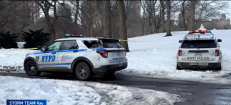 Polícia de Nova York investiga morte de pessoa encontrada sob neve no Central Park