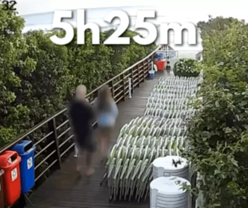 Polícia de SC detalha contradições e provas que apontaram suspeito de agredir cão Orelha