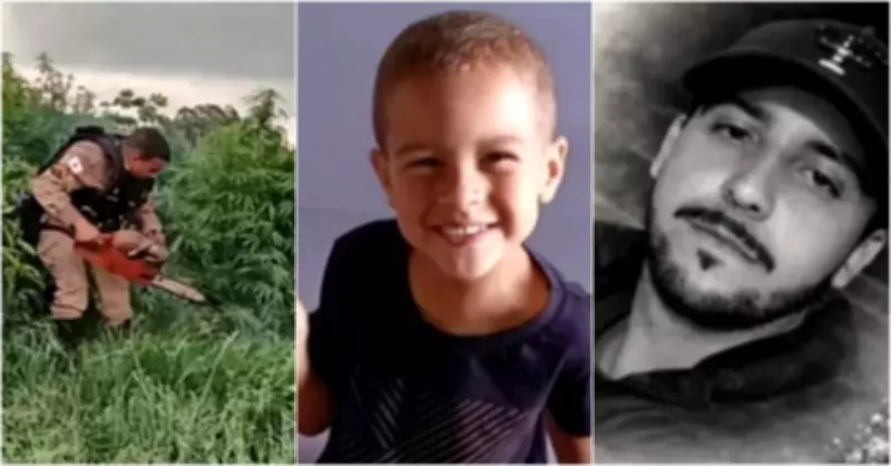 Polícia destrói plantação de maconha em cafezal e criança morre engasgada em MG