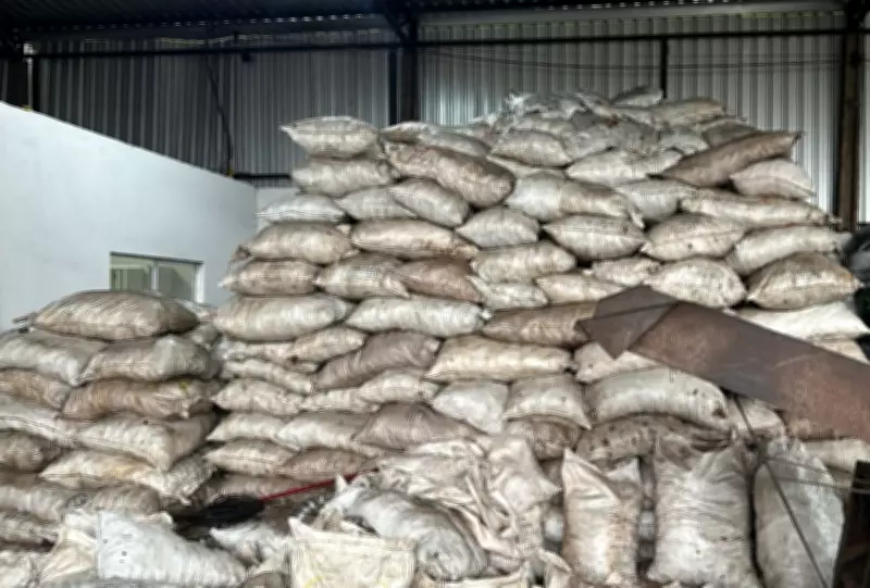 Polícia fecha carvoaria clandestina em Campo Grande após denúncia ambiental