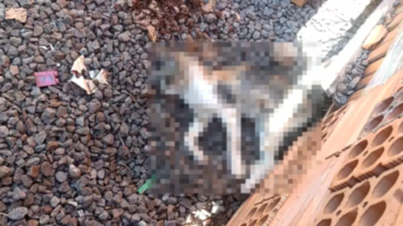 Polícia investiga morte de 10 animais por possível envenenamento em Selbach, RS