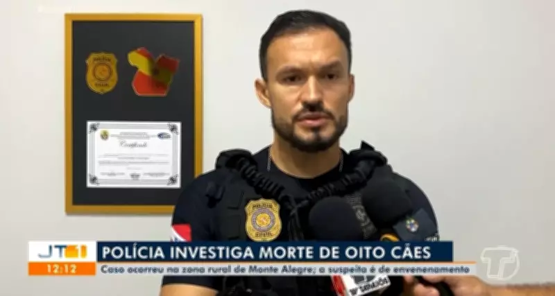 Polícia investiga morte suspeita de oito cães por envenenamento em Monte Alegre