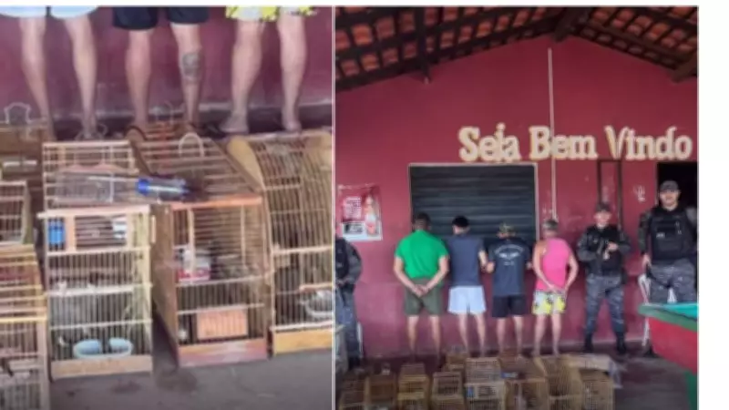 Polícia prende três suspeitos de tráfico de animais silvestres em Buriticupu