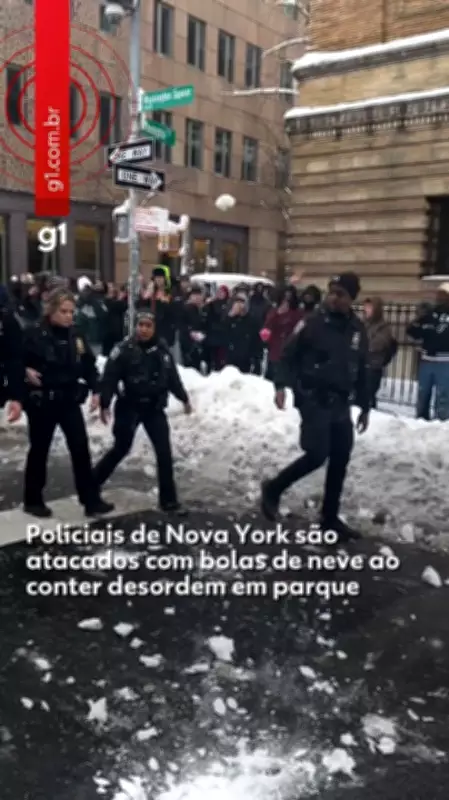 Policiais de Nova York são atacados com bolas de neve ao conter desordem em parque