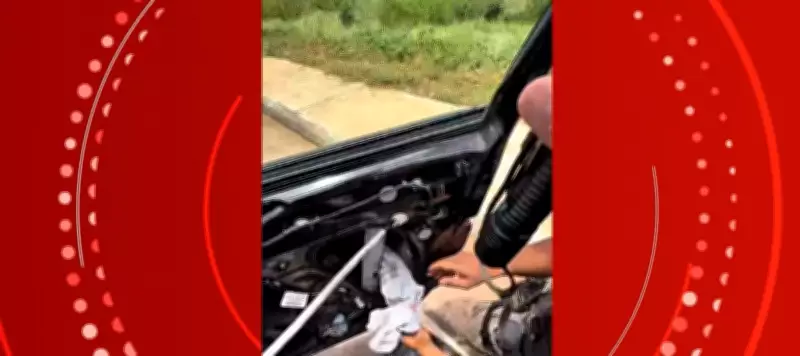 Policiais encontram drogas escondidas em porta de carro alugado em Pirapora