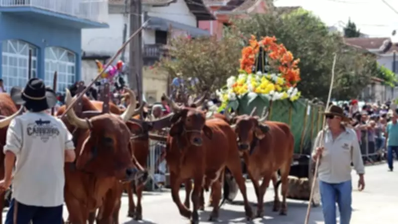 Poço Fundo celebra 39º Encontro de Carreiros com desfile de até 150 carros de boi
