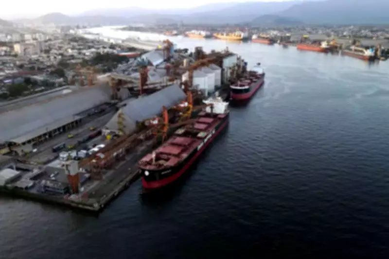 Porto de Santos bate recorde histórico em janeiro com 12,7 milhões de toneladas