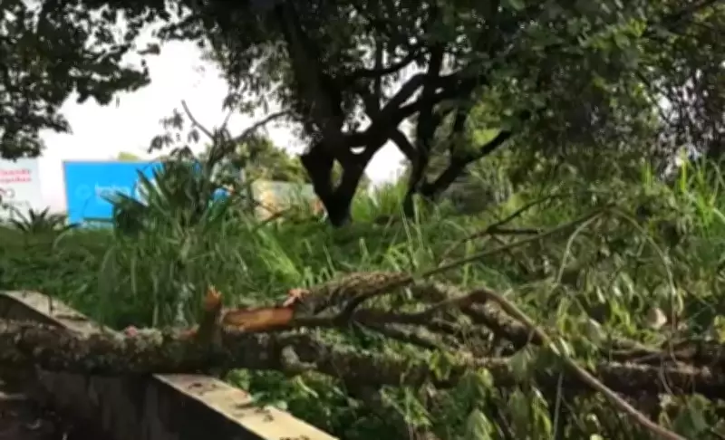 Prefeitura de Nova Friburgo assina contrato bilionário de 30 anos para limpeza urbana