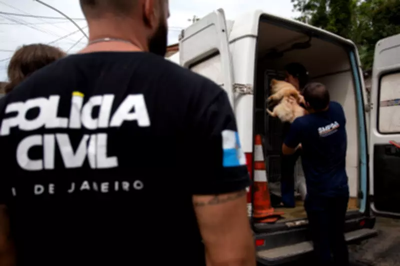 Prefeitura de Volta Redonda fecha canil ilegal e resgata animais em operação policial