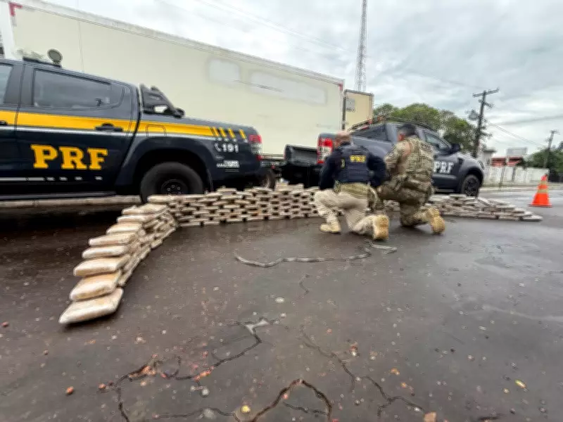 PRF apreende 213 kg de skunk em caminhão frigorífico na BR-135 no Maranhão