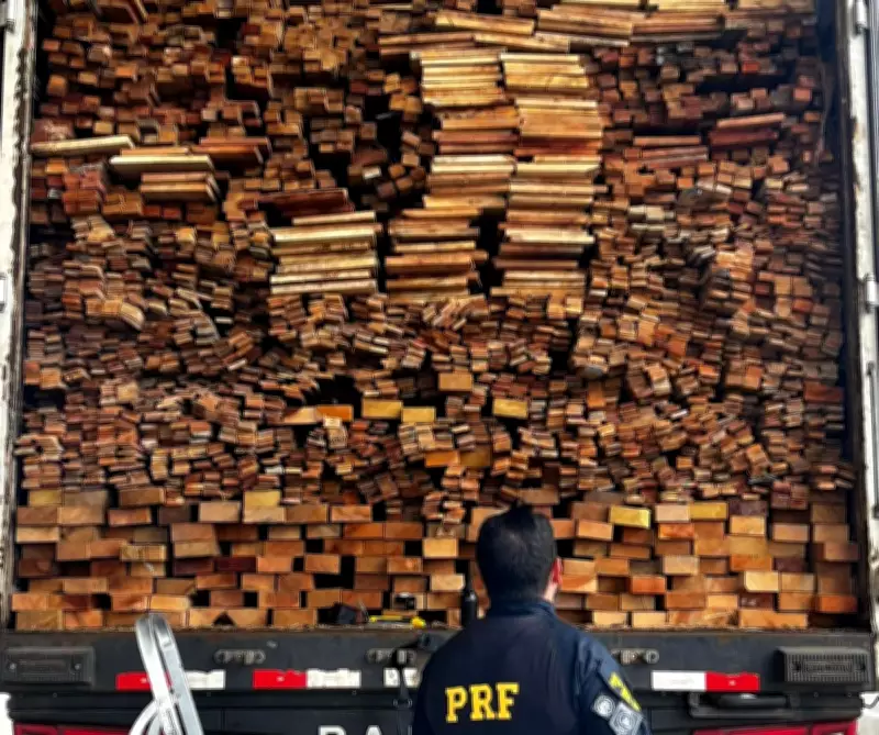 PRF apreende mais de 337 m³ de madeira ilegal no Sertão de Pernambuco em operação ambiental