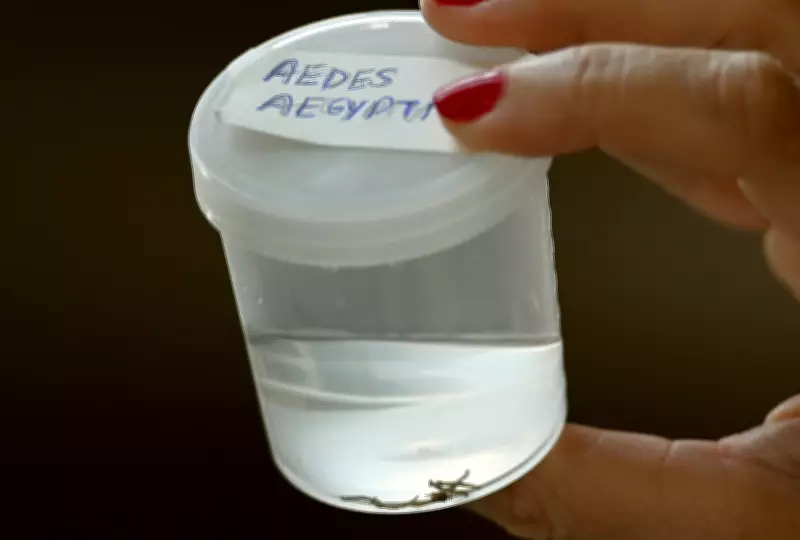 Primeira morte por dengue em 2026 é confirmada em Americana, SP