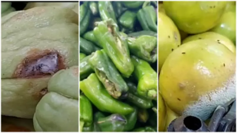 Procon notifica rede de supermercados após denúncias de alimentos estragados em Fortaleza