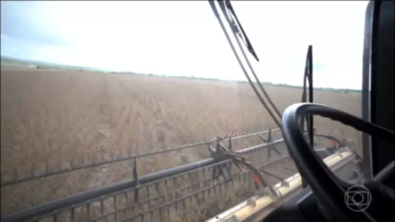 Produção de soja brasileira deve alcançar novo recorde histórico em 2026