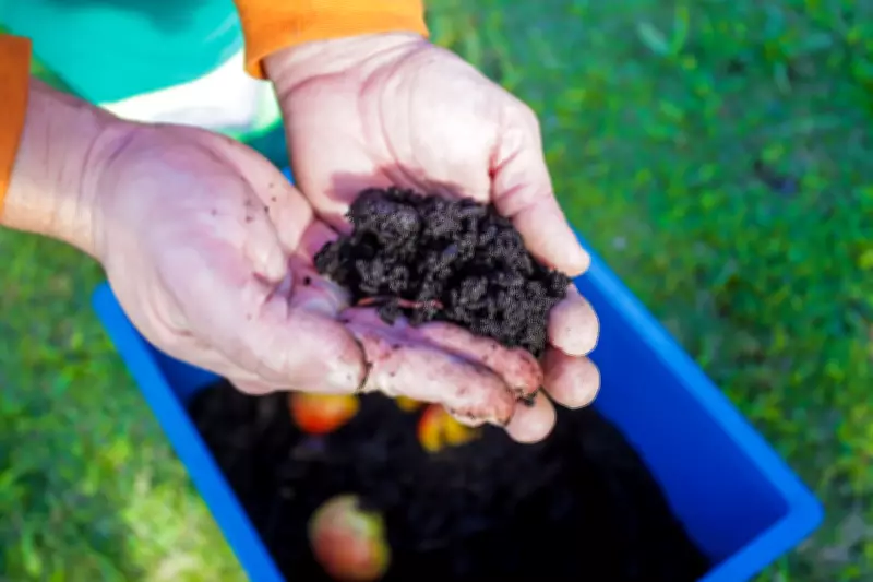 Programa Minhoca na Cabeça desvia quase mil toneladas de lixo por ano em Florianópolis