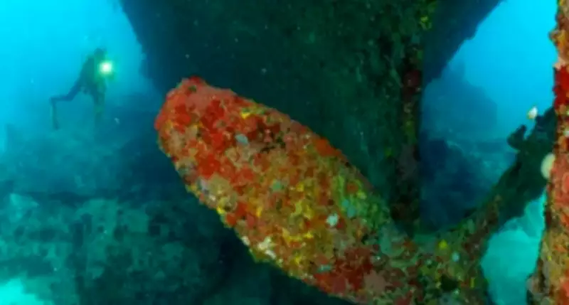 Projeto SER Corais inicia conservação de recifes no Maranhão com investimento de R$ 5,5 milhões