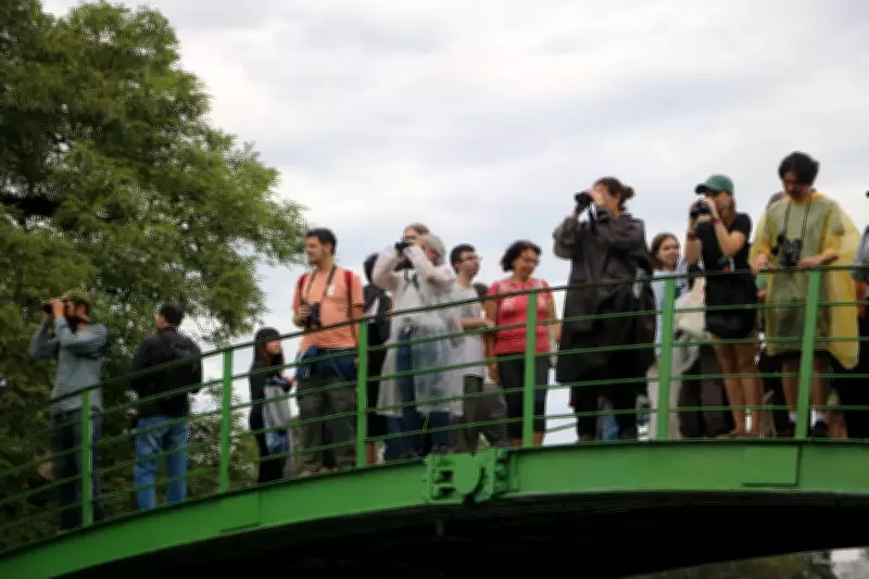 Projeto 'Vem Passarinhar Sampa' atrai centenas para observação de aves em São Paulo