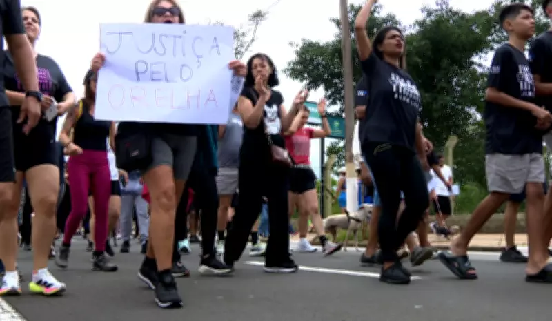 Protesto em Campinas exige justiça por cão Orelha, vítima de maus-tratos em Florianópolis