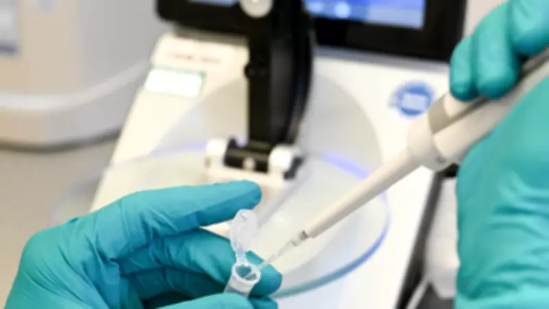 Prototaxites: Nova pesquisa sugere que organismo antigo pode ser forma de vida extinta