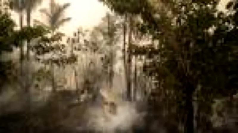 Queimadas caem 36% em janeiro, mas Amazônia continua sendo o bioma mais atingido