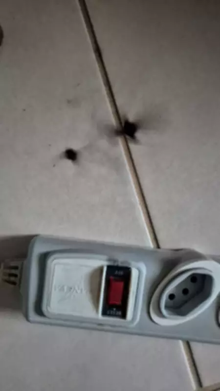 Raio atinge condomínio em Mogi das Cruzes, queima tomadas e causa alagamentos na cidade