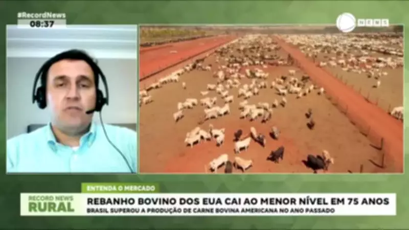 Rebanho bovino dos EUA atinge menor nível em 75 anos; Brasil supera produção americana