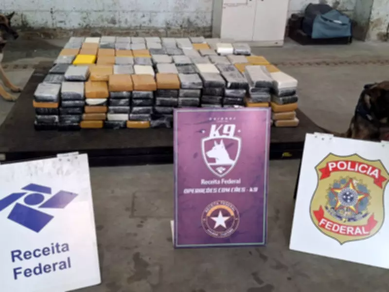 Receita Federal apreende 461 quilos de cocaína no Porto de Santos em carregamento de papel