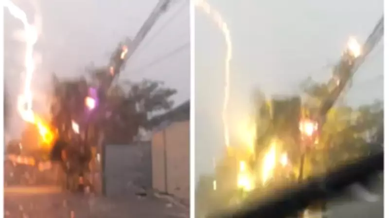 Repórter flagra raio atingindo árvore em São Gonçalo durante temporal no Rio