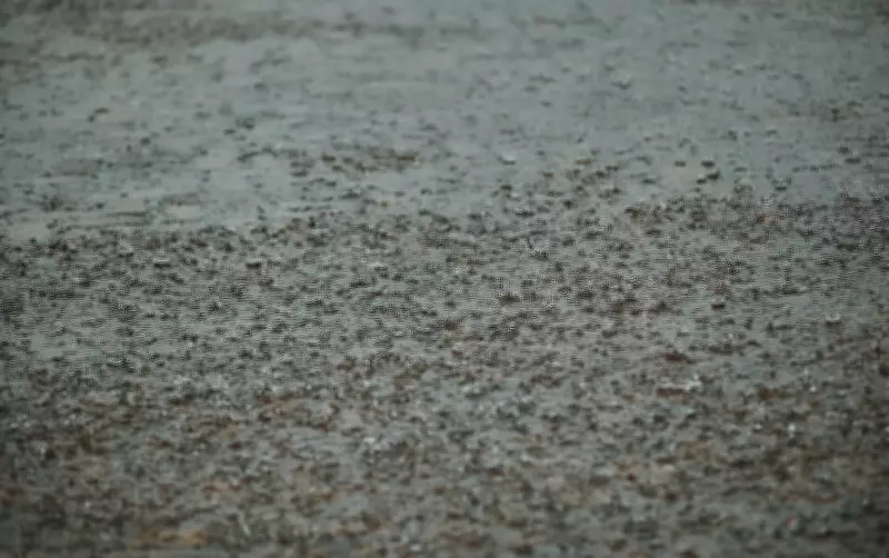 Ribeirão Preto já registrou 84% da chuva de fevereiro em apenas 10 dias