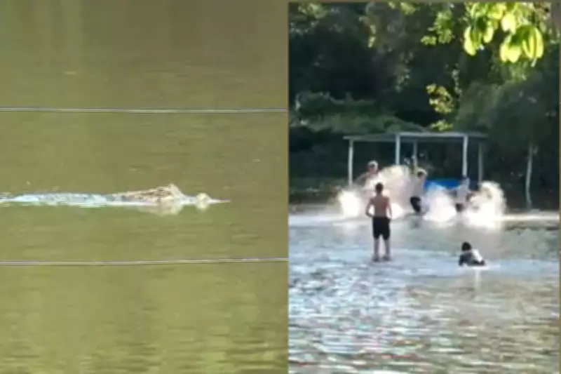 Rio Aquidauana transborda e jacaré invade campo de futebol alagado em Aquidauana (MS)