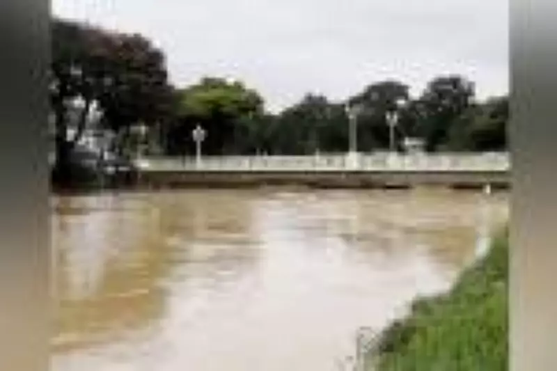 Rio Paraibuna em Juiz de Fora atinge nível crítico, quase 2 metros acima do normal