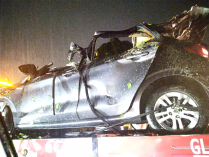 Árvore cai sobre carro na Rio-Santos e causa três mortes em Angra dos Reis