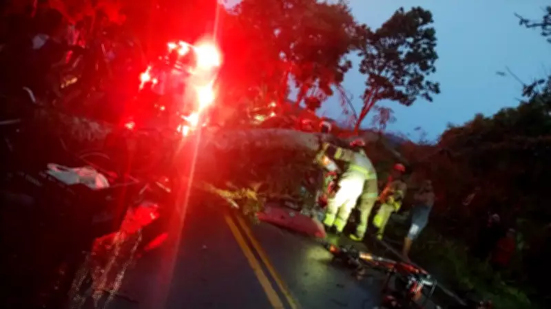 Árvore cai sobre veículo e mata mulher na estrada Paraty-Cunha, no Rio de Janeiro