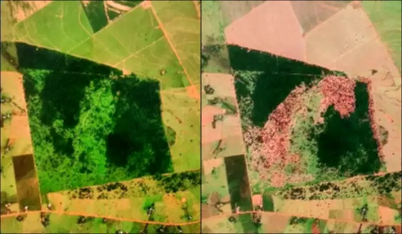 Satélites da Polícia Ambiental flagram degradação em fazenda de Rosana e aplicam multas milionárias