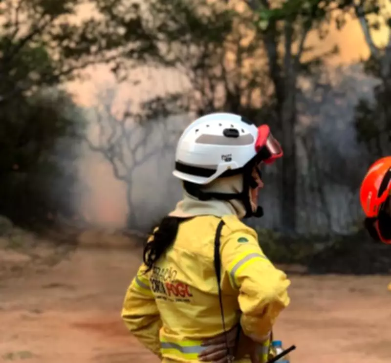 São Paulo abre 243 vagas para brigadistas temporários no combate a incêndios florestais
