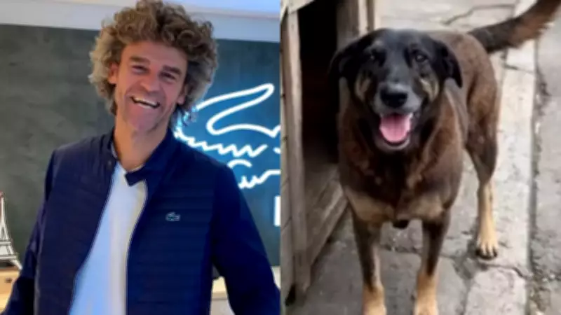 Sobrinho de Guga Kuerten é investigado por maus-tratos a animais e vandalismo em SC