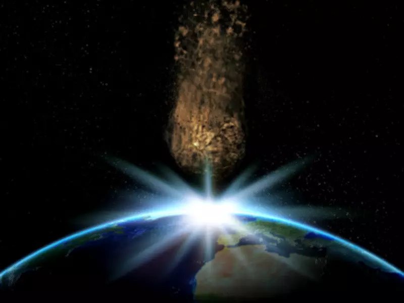 Tardígrados: os microanimais que sobreviveriam a um impacto de asteroide e à guerra nuclear