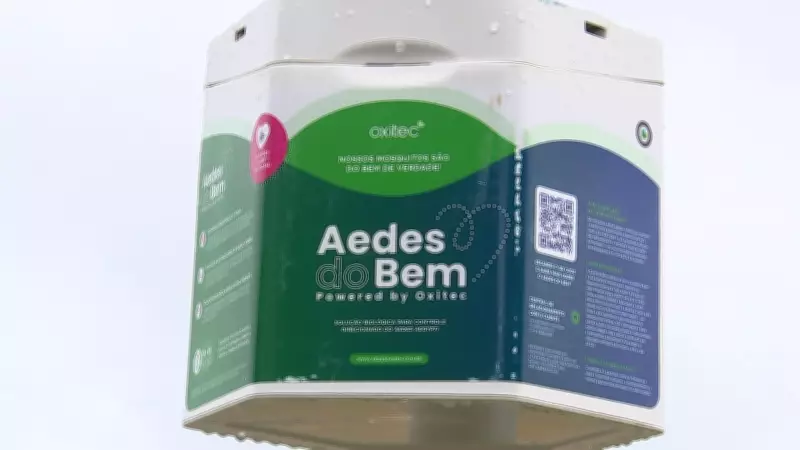 Tatuí inova no combate à dengue com mosquitos 'do bem' em programa pioneiro