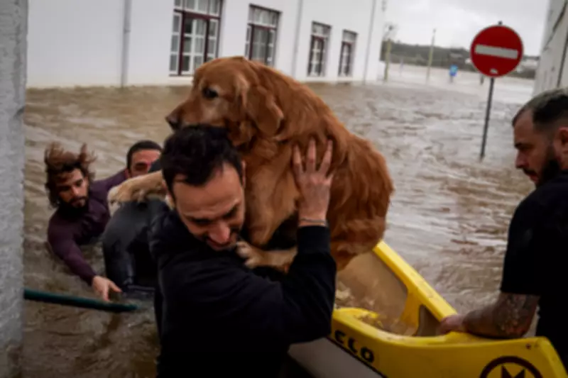 Tempestade Leonardo devasta Península Ibérica e ameaça eleições em Portugal