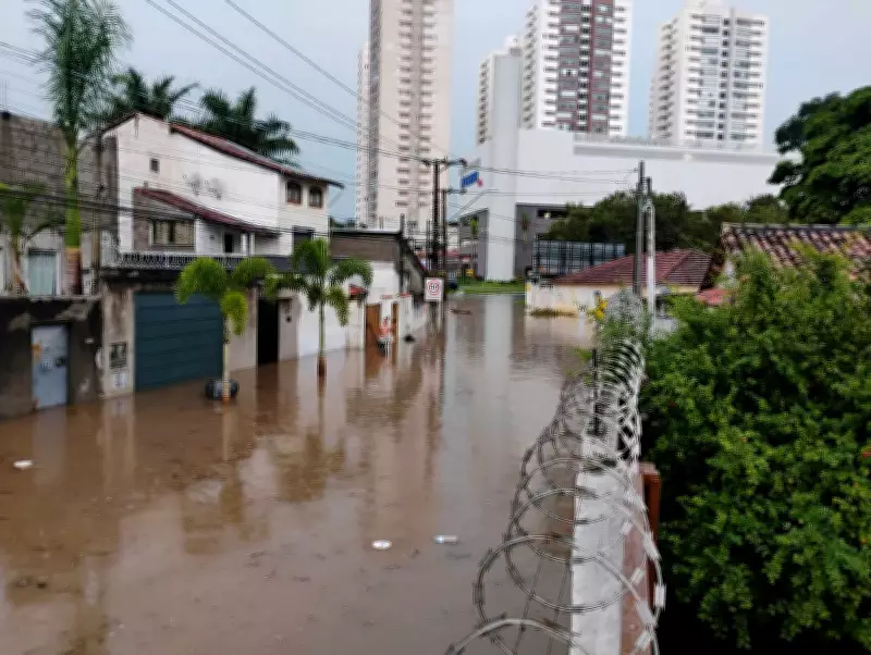 Temporal com ventos de 80 km/h causa alagamentos e queda de árvores em Taubaté