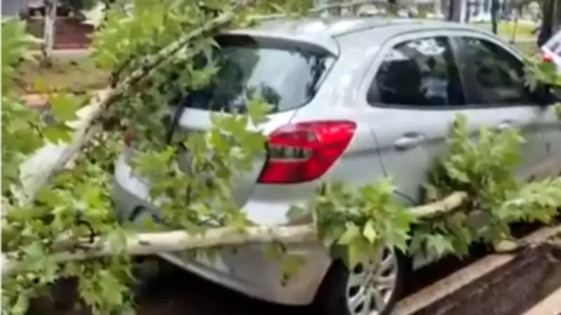 Temporal com ventos fortes causa estragos e deixa milhares sem energia em Foz do Iguaçu